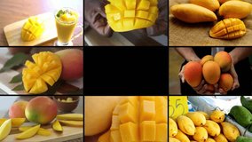 mangoes montage collage tiling videos