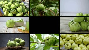 guava fruit montage collage tiling videos