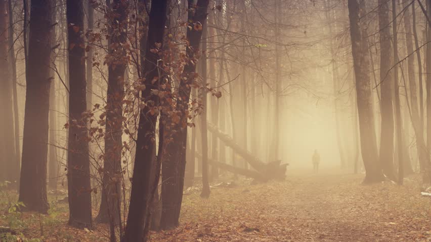 Along the road as a lonely pedestrian in the autumn forest. Path in the fog between the trees. Sad landscape with bare tree trunks, yellow leaves and snow.