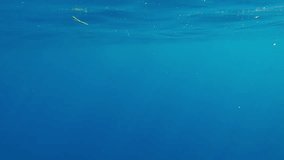 POV underwater shot, man swimming under surface on blue water of Mediterranean sea. First person video, Close-up of guy paddling with his hands underwater in brighly sun rays