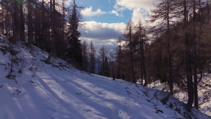 Snowy hiking trail in mountain forest