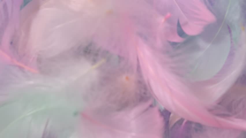 Set of pastel feather blowing by wind to show colorful number 2024 isolated on light blue background. Happy New Year 2024 concept | Shutterstock HD Video #1111815981