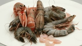 A footage of different seafood including prawn, shrimp, lobster on a white background