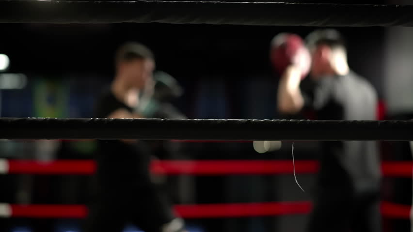 Boxers spar in the ring. Two powerful figures collide in a fierce display of athletic prowess and determination, as the boxing ring becomes a battleground for raw aggression and intense competition | Shutterstock HD Video #1111824959