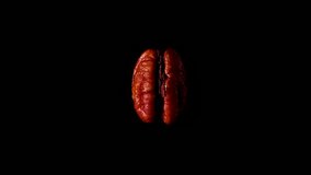 Peeled pecan nut rotate isolated on black background slow motion video 360