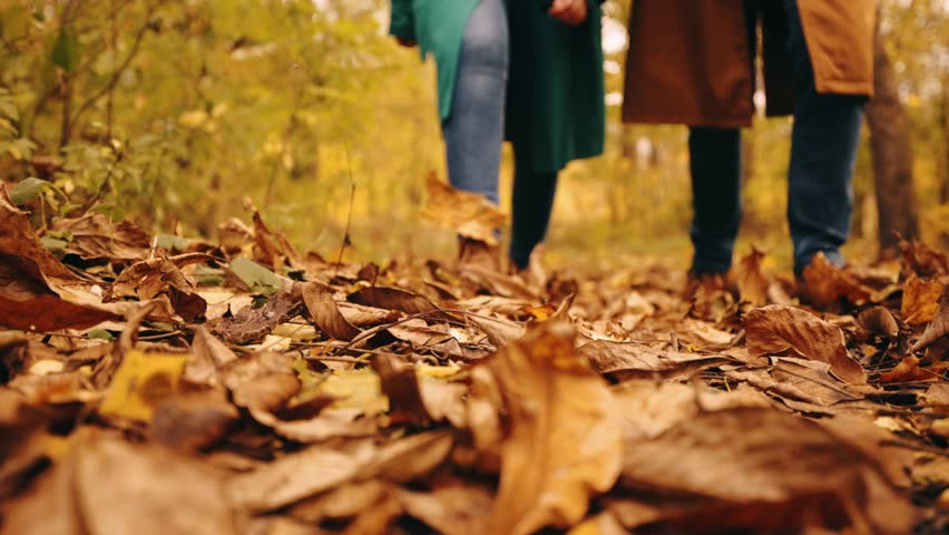 Focus on male and female legs walking and rustling yellow leaves. Young couple spending time outdoors in warm autumn day. Concept of fall season, relationship, weekend activity, nature enjoyment Royalty-Free Stock Footage #1111835581