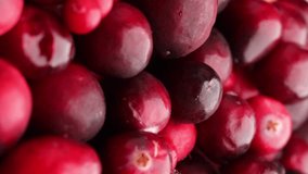 fresh red cranberries, rotation in circle. lingonberry red berries, Turning. selective focus. Vertical video