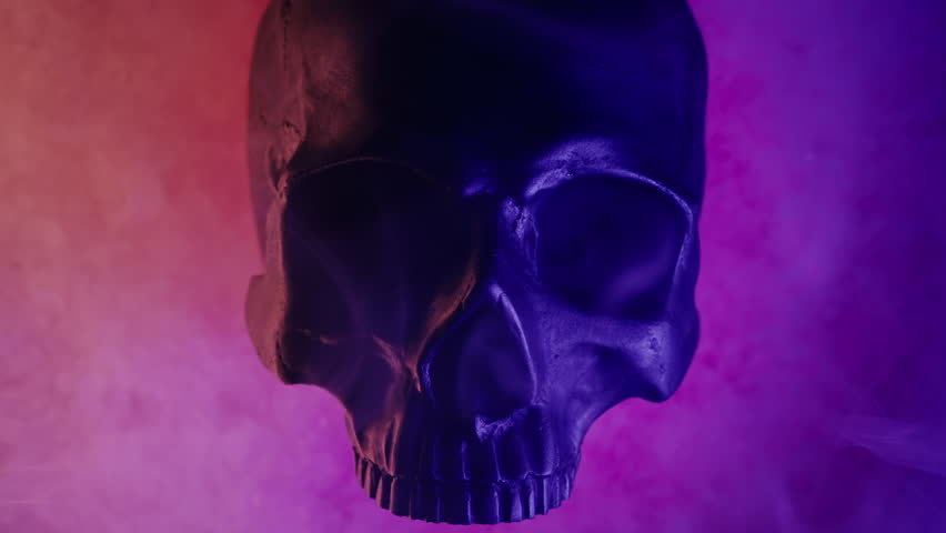 Human skull with neon colorful light. Power of symbolism - mortality, rebellion. | Shutterstock HD Video #1111842263