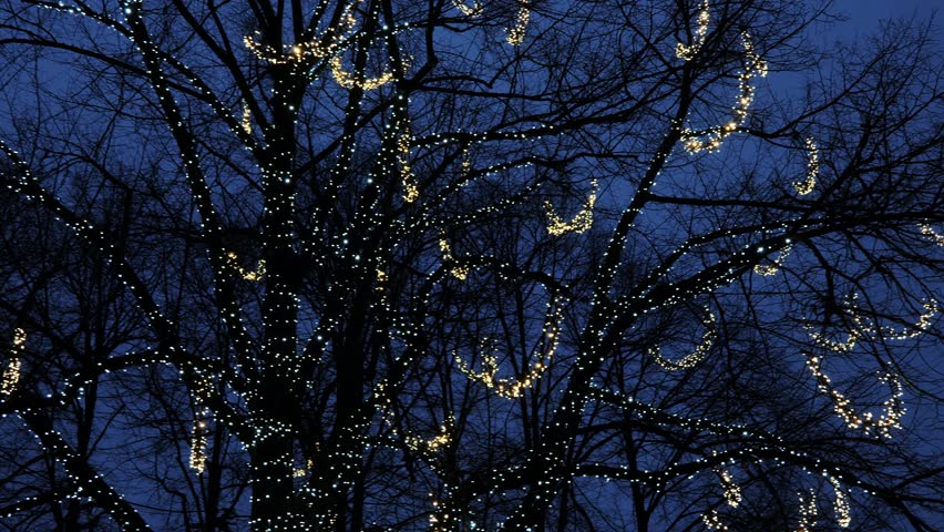 Beautiful Christmas illuminated tree moving upward view. Magical beautiful night | Shutterstock HD Video #1111849297