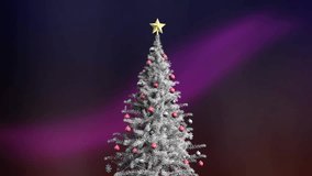 Animation of star fairy lights over christmas tree in winter scenery background. Christmas, tradition, celebration movement and colour concept digitally generated video.