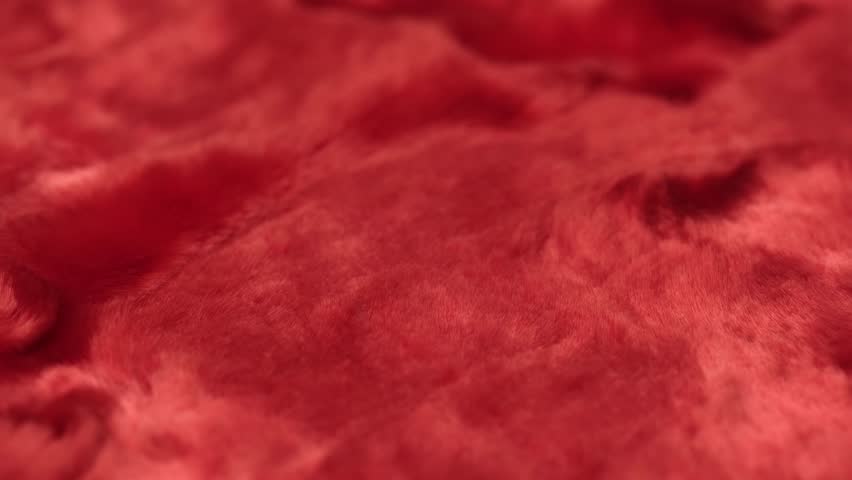 natural vintage cotton fabric plush with artificial pile of red color. closeup rotation. soft, cozy, fluffy fabric for a bedspread or plaid. Royalty-Free Stock Footage #1111856995