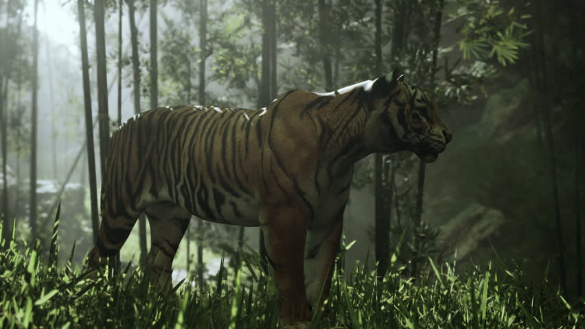 Giant Bengal tiger prowls through a grove of bamboo, searching for its prey in the bright sun | Shutterstock HD Video #1111879231