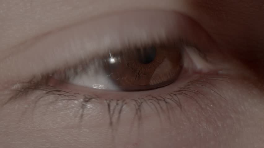 Brown eye looking around and blinking, extreme closeup | Shutterstock HD Video #1111881703