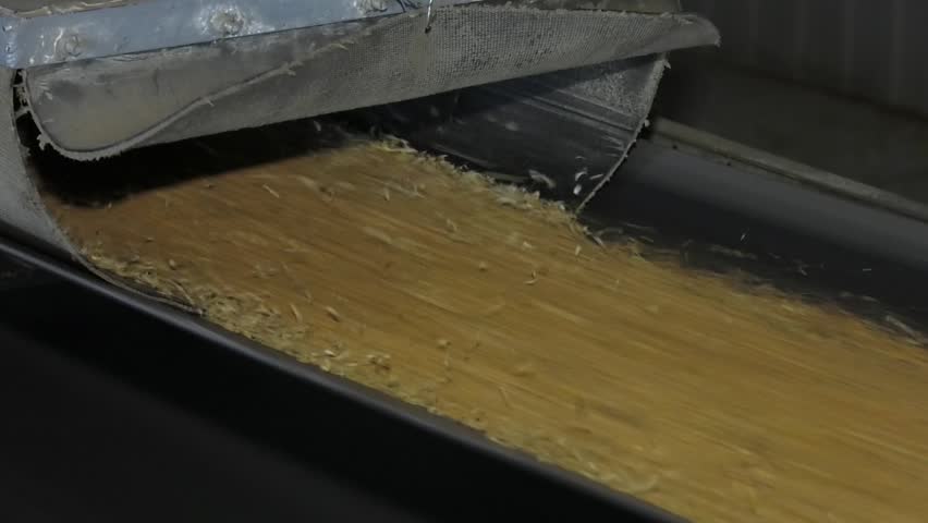 Grain moves on a general conveyor belt, rollers, maintenance area. A high tech stainless steel conveyor belt, in a clean, modern food processing facility, rushes barley from storage to processing.
 Royalty-Free Stock Footage #1111884947