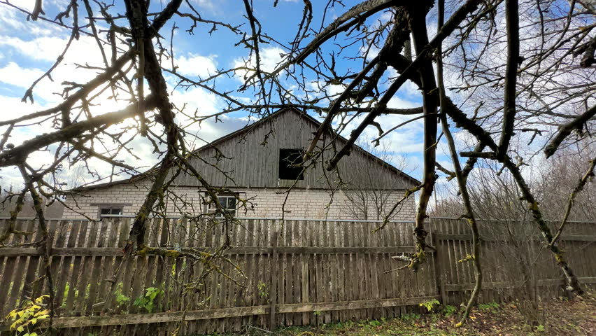 Cutting branches on apple tree use Garden pruning shears. Pruning tree with clippers on backyard in village. Cut branch use branch cutter. Trimming tree branch in spring in rural garden. Pruning tools | Shutterstock HD Video #1111888699