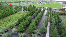 Cultivating Christmas trees for sale at holiday markets and fears, a Christmas tree nursery offers a variety of trees during the festive season. aerial view, pattern of Christmas trees. aerial view - Powered by Shutterstock - Get 15% off with code: PIKWIZARD15