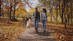 African-American couple enjoys walk together with dog along path. Black man hugs black girlfriend while walking dog on autumn sunny day across park slow motion - Powered by Shutterstock - Get 15% off with code: PIKWIZARD15