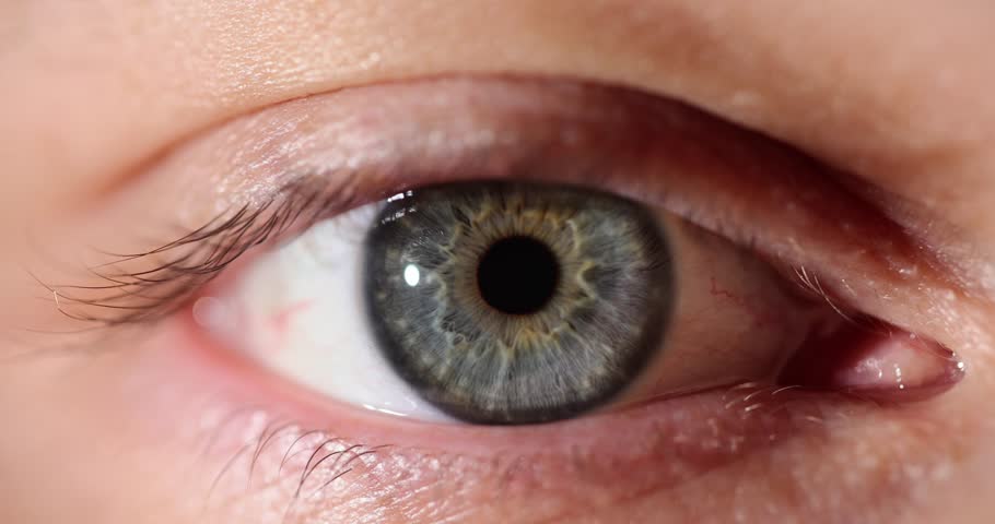 Blue eye of person looking at camera and blinking closeup. Opening and closing blue eyes | Shutterstock HD Video #1111890253