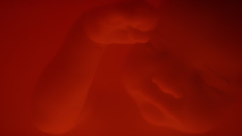 Closeup of face of sleeping unborn baby in late development stage floating in glowing red amniotic fluid | Shutterstock HD Video #1111894543