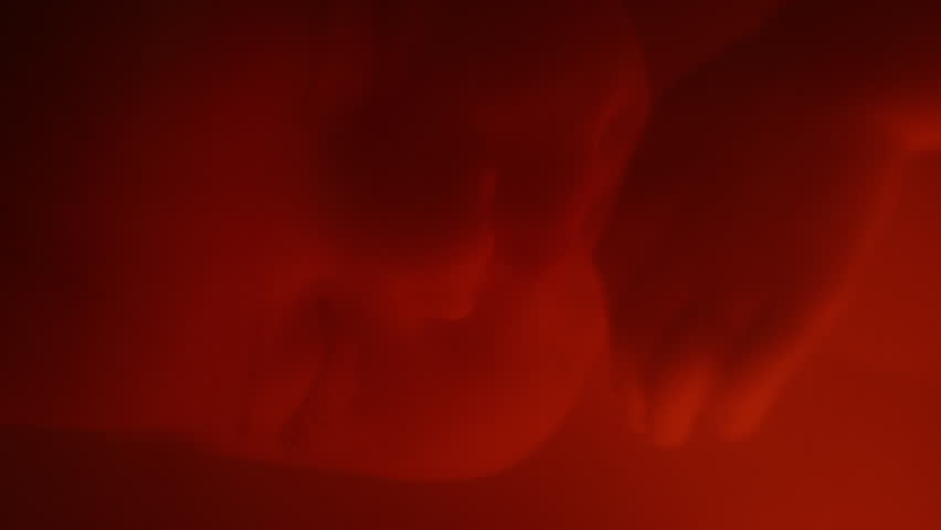 Macro closeup of sleeping foetus with hand near face inside reddish womb | Shutterstock HD Video #1111894991