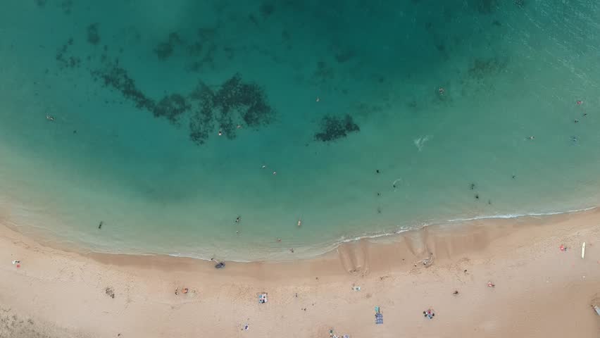 Weekend beach day view from high above | Shutterstock HD Video #1111896245
