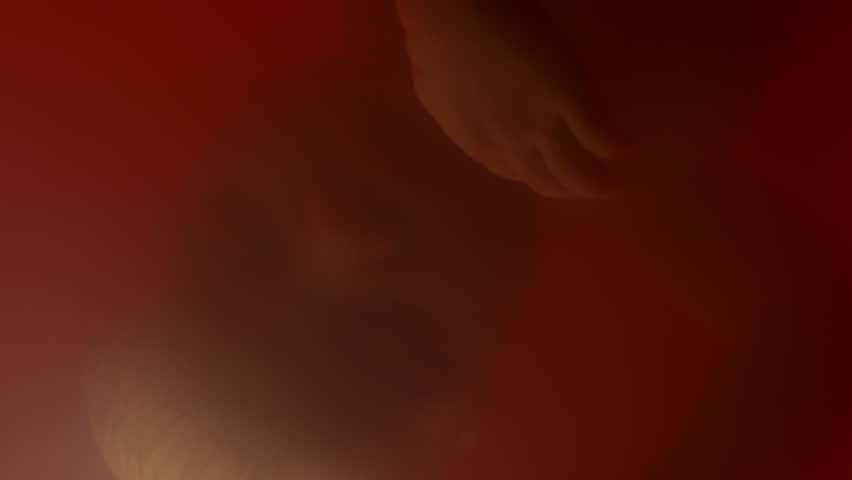 Vertical closeup of face of sleeping fetus in red uterus light turning around and disappearing in opaque amniotic fluid | Shutterstock HD Video #1111896737