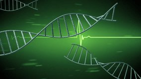 Rotating dna strands over green heartbeat monitor and processing data. Science, technology, heart, genetics, medical research and healthcare, digitally generated video. - Powered by Shutterstock - Get 15% off with code: PIKWIZARD15