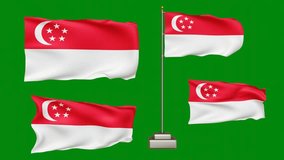 Singapore flag waving in the wind on a green background. Four options for 3d animation of singapore flag. Country symbol