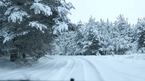 Driving Through a Snow-clad Forest. Magic Car Trip on the Road by Pine Forest Covered by Snow. Front View from Car Passenger Window. Winter Nordic Rural Landscape. Traveling. Cold Season. Snowy Wood.