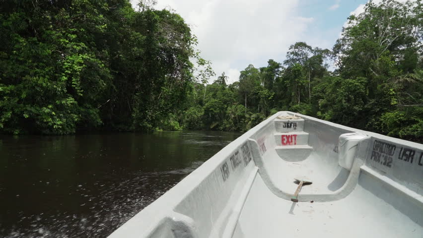 view over the water from a motorboat side going down the tropcial river in the jungle of the Cuyabeno wildlife resort through the rainforest of the Amazon region in Ecuador.