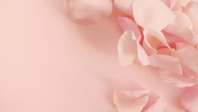 Flowers Rose petals blown by wind on pastel, beige background. Sun and shadows. Reflections sunlight and shadows in slow motion. Valentines day texture. - Powered by Shutterstock - Get 15% off with code: PIKWIZARD15