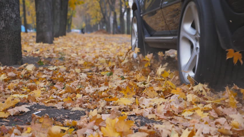 Powerful car crossing through alley at sunny day. Colorful autumn foliage flies out from under wheel of auto. Black SUV driving fast along an empty road over yellow leaves at park. Low angle view | Shutterstock HD Video #1111919571