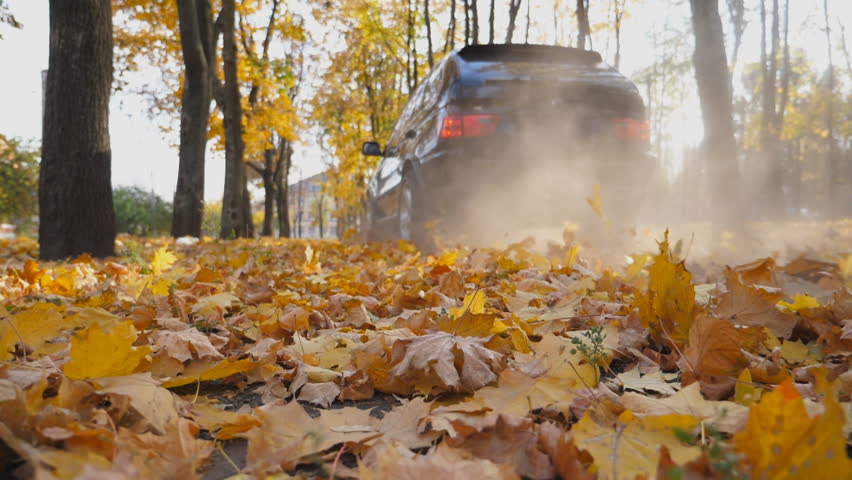 Black SUV driving fast along an empty road over yellow leaves at park. Colorful autumn foliage flies out from under wheel of auto. Powerful car crossing through alley at sunny day. Low angle view | Shutterstock HD Video #1111919573