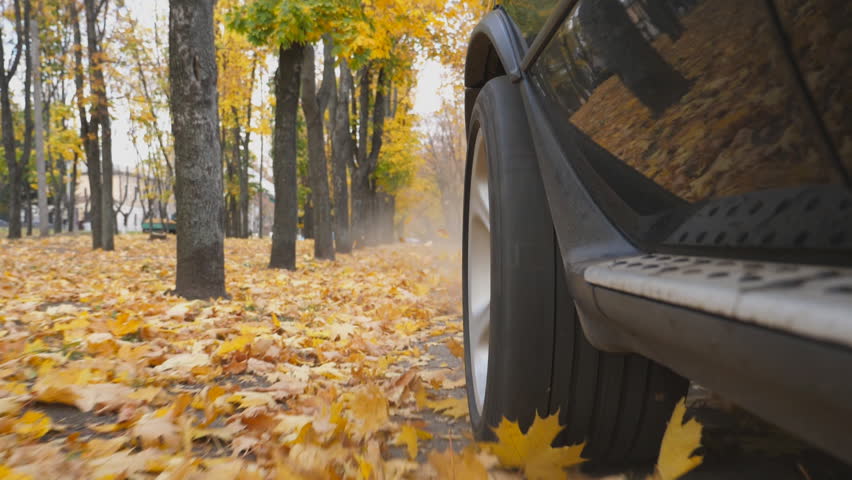 View from rear wheel of powerful SUV driving on park road over yellow leaves at sunny day. Colorful autumn foliage flies out under automobile. Black car passing through empty alley. Slow motion | Shutterstock HD Video #1111919575