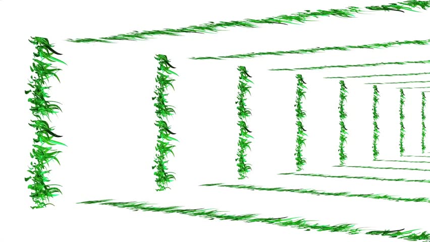 Abstract Corridor Tunnel 3D Rendering