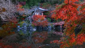 Beautiful autumn in Kyoto, Japan, Japanese shrine in Kyoto with red momiji leaves, traditional Japanese pagoda and wooden bridge reflected in a pond, Daigo-ji temple in Kyoto.  - Powered by Shutterstock - Get 15% off with code: PIKWIZARD15