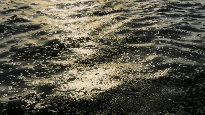 Chemical Water Pollution on Sea Water | Shutterstock HD Video #1111928747