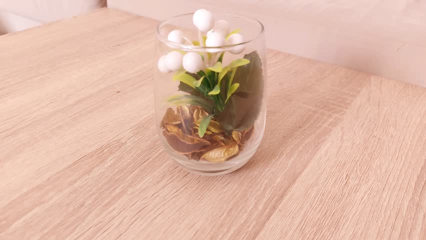 A Terrarium glass vase planted with Ficus | Shutterstock HD Video #1111930575