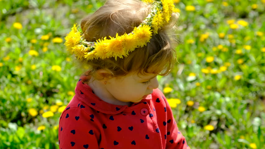 A child looks with a magnifying glass at dandelion flowers. Selective focus. | Shutterstock HD Video #1111930587