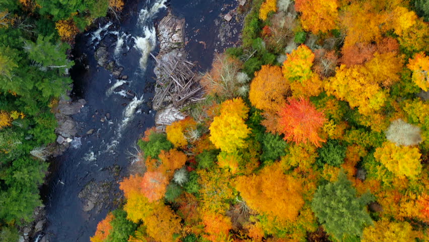 Overhead aerial view of Fall (Autumn) foliage around Lake Placid, New York.