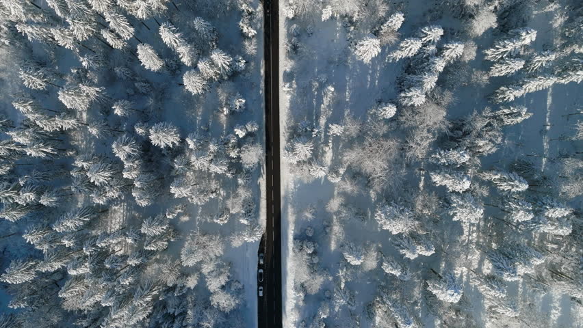 Bird's Eye View Of Snow-Covered Forest Over Jorat Woods Near Lausanne, Canton of Vaud, Switzerland. Royalty-Free Stock Footage #1111933245