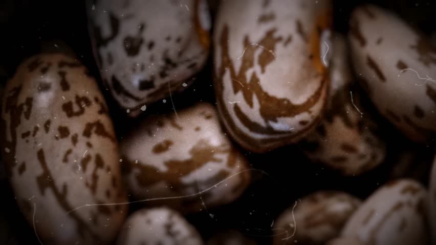 Kidney beans animated background. Stop Motion  video.    
 | Shutterstock HD Video #1111935937