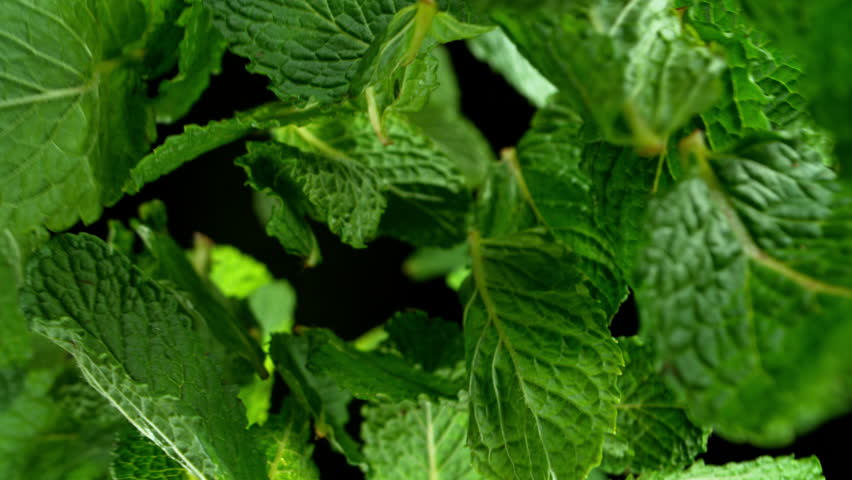 Super slow motion of falling and rotating fresh mint leaves. Ultimate perspective and motion. Filmed on high speed cinema camera, 1000 fps. | Shutterstock HD Video #1111945015