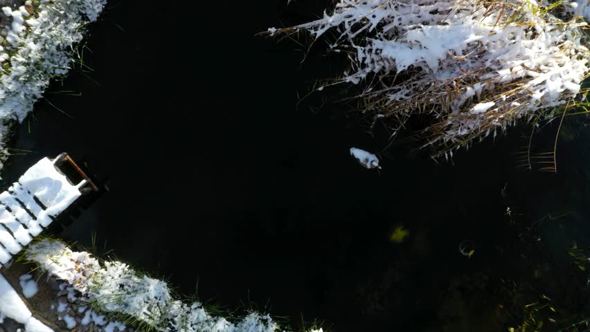 Winterized garden pond. Relaxation zone with fish farming in an organic orchard from above. Sustainable development in gardening and aquaculture. Pond care and garden work in winter.