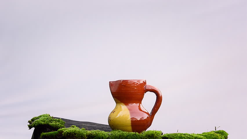 Robin redbreast (Erithacus rubecula) bird pecking food from earthen vase
