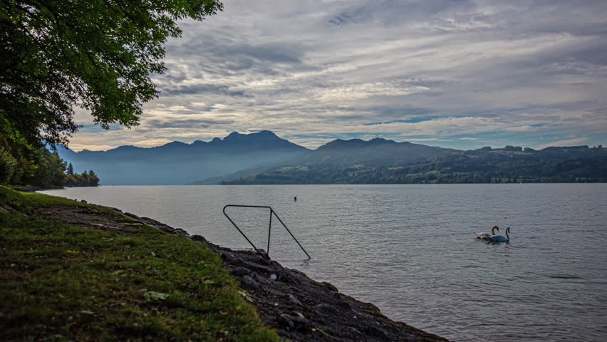 Timelapse of two people at side of Attersee Lake, Alps, checking phone and looking at swans in lake.
