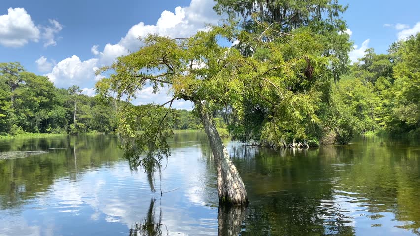 Enjoying a boat ride on the river in the Wakulla Springs State Park in Tallahassee, Florida on a bright summer day.