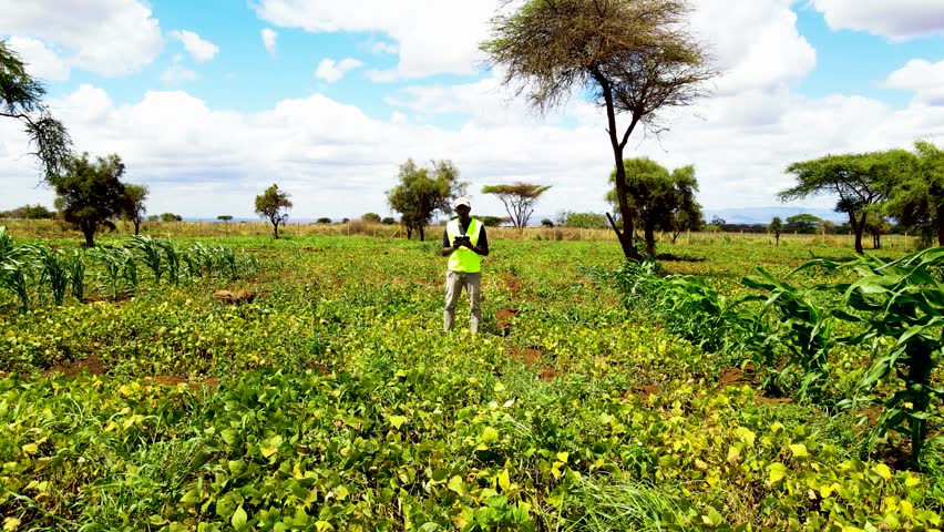 Rural agricultural farms in Kenya. Drone pilot land survey. Smart Agriculture technology.