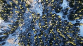 Twisted road in winter forest. Asphalt road serpentine and snowy landcape around. Aerial 4K footage from drone flight