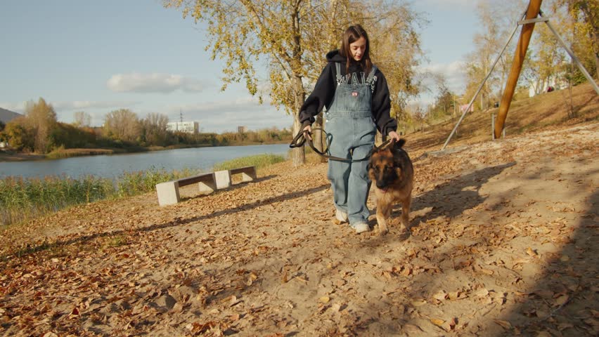 Young woman owner walking with German shep herd dog in the autumn park close-up. Purebred dog. Pet walking in forest. Outdoor. | Shutterstock HD Video #1111954985